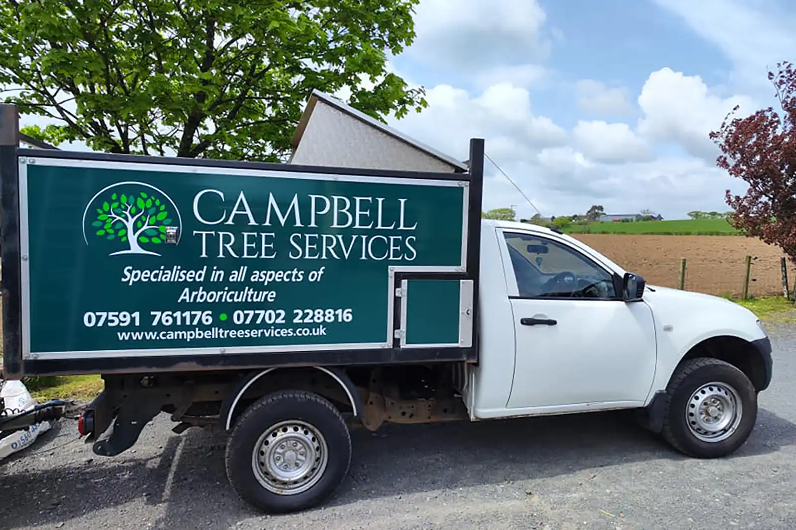 Professional Tree Surgeons